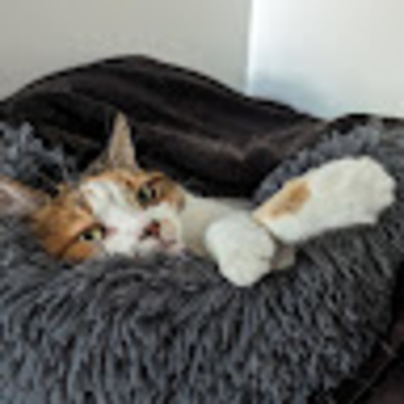 Meet your Posher, Marielle - Picture 1 of 1